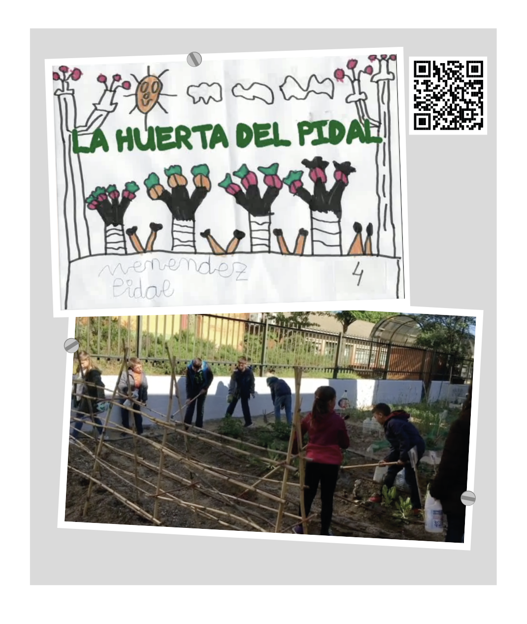 Collage ganador